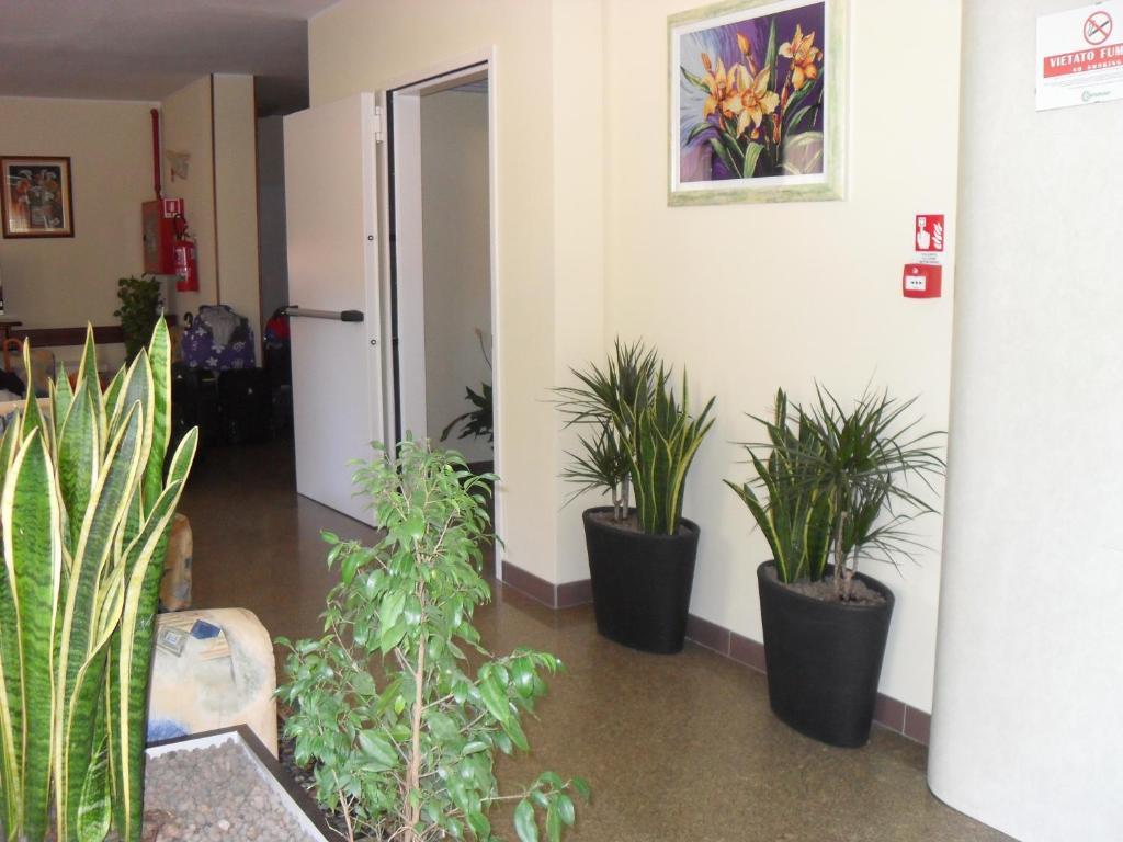 Hotel Zani Cervia Zewnętrze zdjęcie