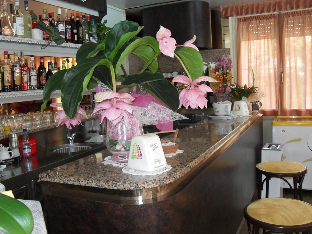 Hotel Zani Cervia Zewnętrze zdjęcie