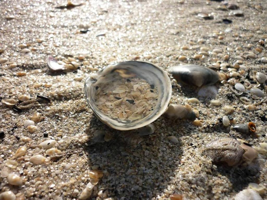 Hotel Zani Cervia Zewnętrze zdjęcie
